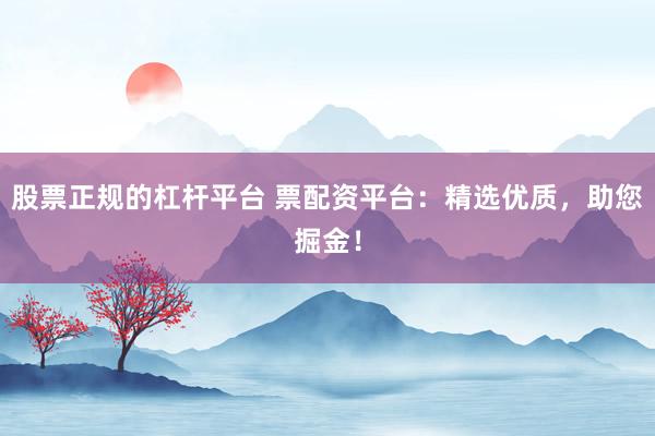 股票正规的杠杆平台 票配资平台：精选优质，助您掘金！