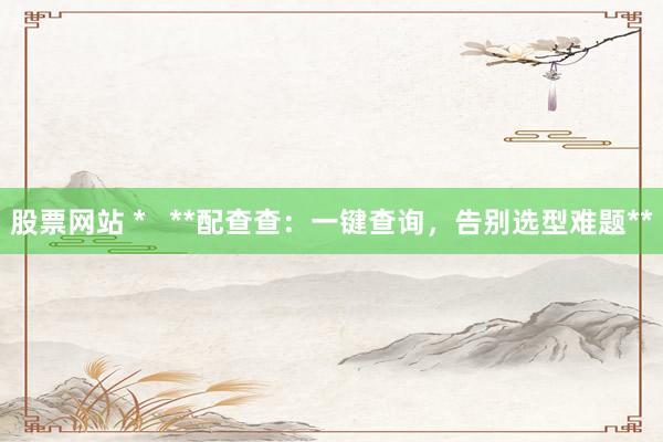 股票网站 *   **配查查：一键查询，告别选型难题**