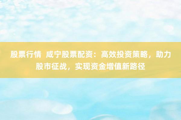 股票行情  咸宁股票配资：高效投资策略，助力股市征战，实现资金增值新路径