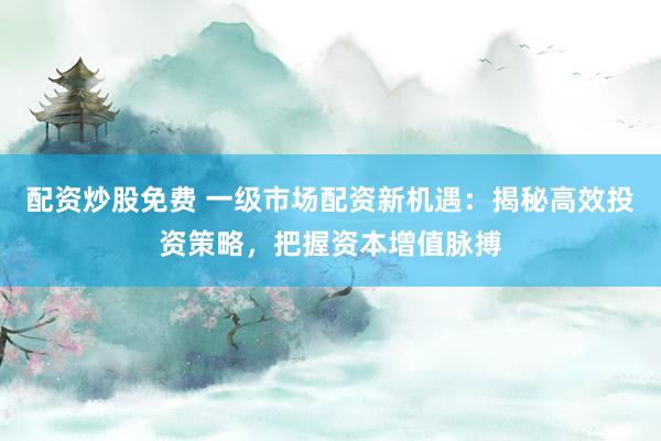 配资炒股免费 一级市场配资新机遇：揭秘高效投资策略，把握资本增值脉搏