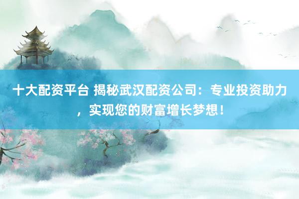 十大配资平台 揭秘武汉配资公司：专业投资助力，实现您的财富增长梦想！