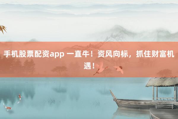 手机股票配资app 一直牛！资风向标，抓住财富机遇！