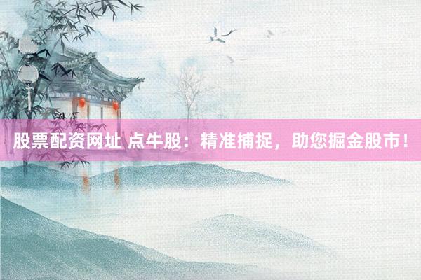 股票配资网址 点牛股：精准捕捉，助您掘金股市！