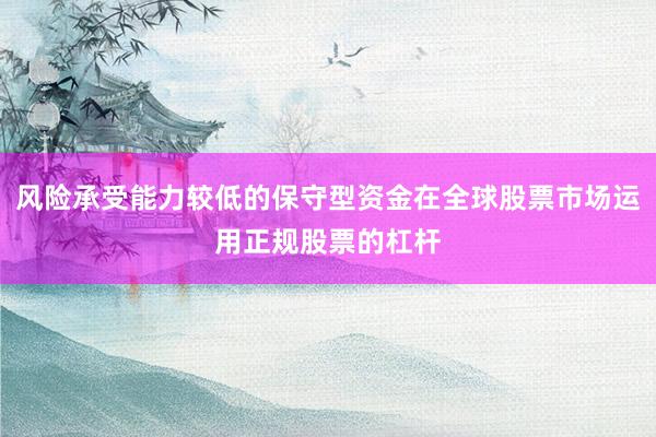 风险承受能力较低的保守型资金在全球股票市场运用正规股票的杠杆