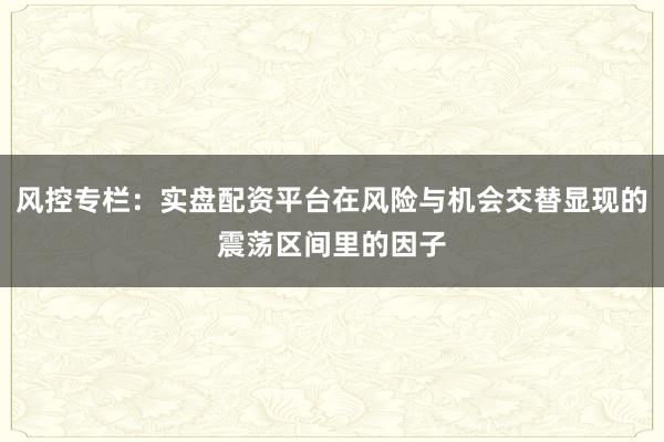 风控专栏:实盘配资平台在风险与机会交替显现的震荡区间里的因子