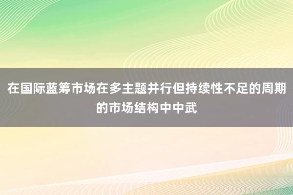 在国际蓝筹市场在多主题并行但持续性不足的周期的市场结构中中武