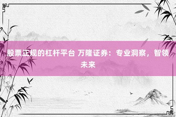 股票正规的杠杆平台 万隆证券：专业洞察，智领未来