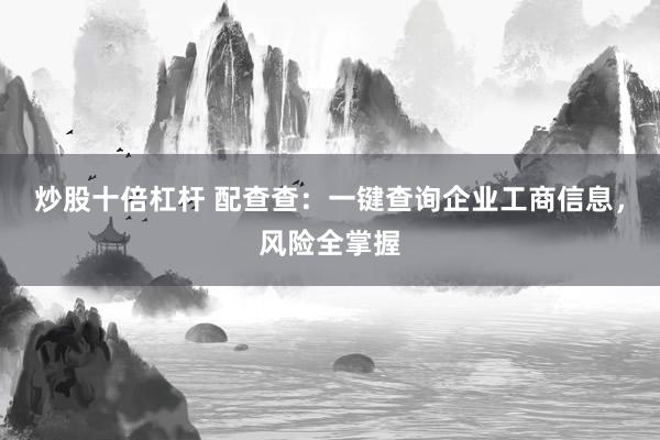 炒股十倍杠杆 配查查：一键查询企业工商信息，风险全掌握