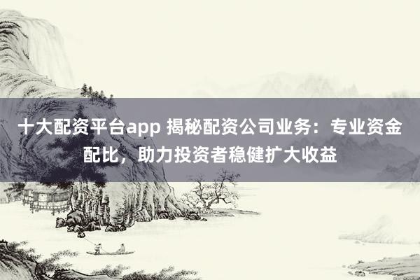 十大配资平台app 揭秘配资公司业务：专业资金配比，助力投资者稳健扩大收益