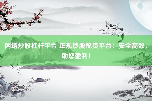 网络炒股杠杆平台 正规炒股配资平台：安全高效，助您盈利！