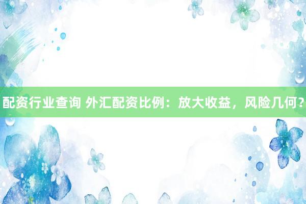 配资行业查询 外汇配资比例:放大收益,风险几何?
