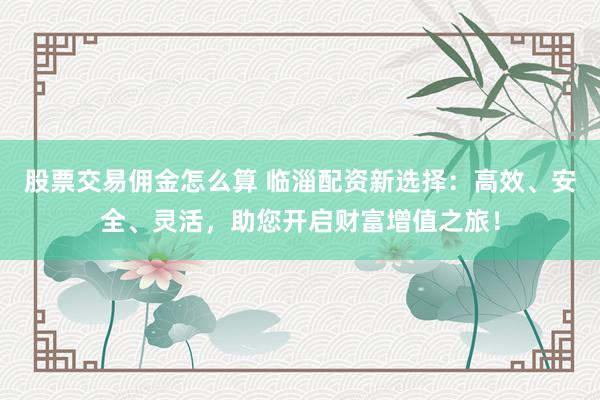 股票交易佣金怎么算 临淄配资新选择：高效、安全、灵活，助您开启财富增值之旅！